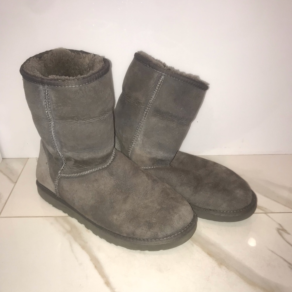 Gray Classic Short Ugg Boots